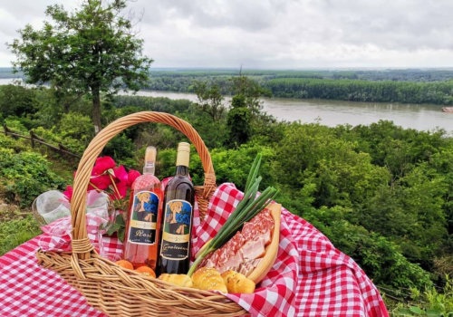 Vinarija Magistra